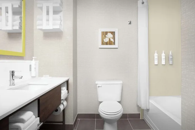 غرفة بسرير كينج بحوض جاكوزي، Hampton Inn Dandridge, TN 4/6