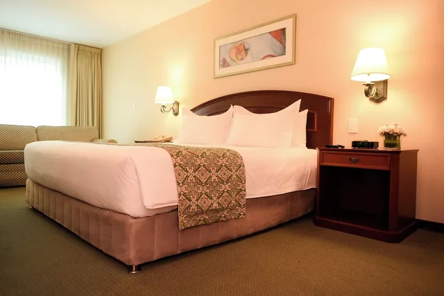غرفة قياسية مفردة بسرير مزدوج، Los Tallanes Hotel Suites 2/4