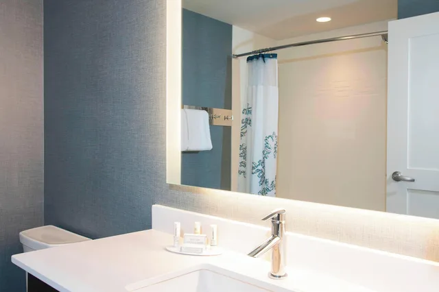 جناح بغرفة نوم واحدة لذوي الإعاقة، RESIDENCE INN ANN ARBOR DOWNTOWN 2/5