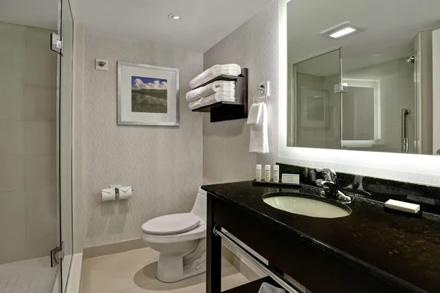 جناح بسرير كينج، Embassy Suites By Hilton Niagara Falls Fallsview 3/3