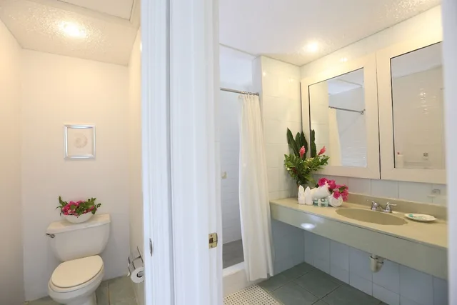جناح بريميوم بسرير كينج، Harmony Suites 2/2