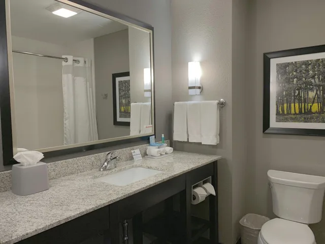 غرفة بسريرين لذوي الإعاقة، Holiday Inn Express Suites Madison Central 2/2