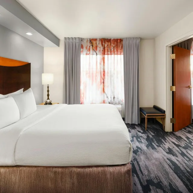 1 Bedroom, Specialty, Suite, King Bed, Sofa, Bathtub, Large، Fairfield Inn Suites Denver Aurora Parker 1/1