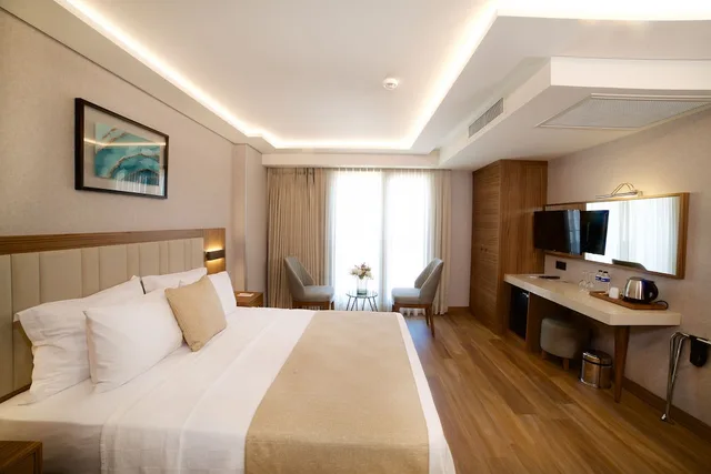 غرفة قياسية بسرير مزدوج أو سريرين منفصلين، Erboy Hotel Istanbul 1/10