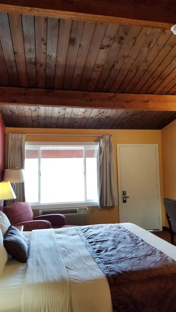 غرفة قياسية بسرير كينج، Forks Motel 1/6