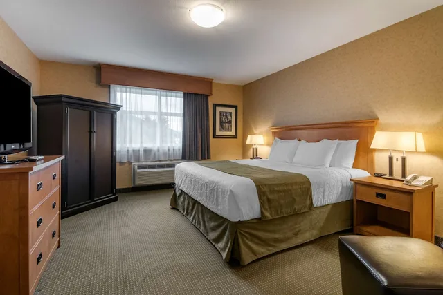 غرفة قياسية بسرير كينج، Best Western Sicamous Inn 2/8