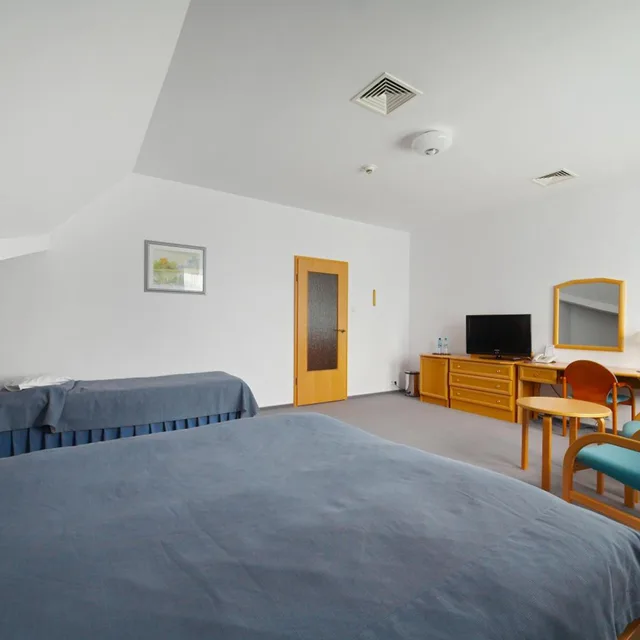 غرفة بسريرين منفصلين، Geovita Hotel Perla Bieszczadow 3/7