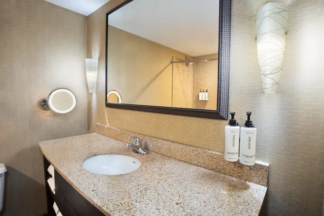 غرفة قياسية بسرير كينج لذوي الإعاقة، Crowne Plaza Hotel Greenville I 385 Roper Mtn Rd 3/5