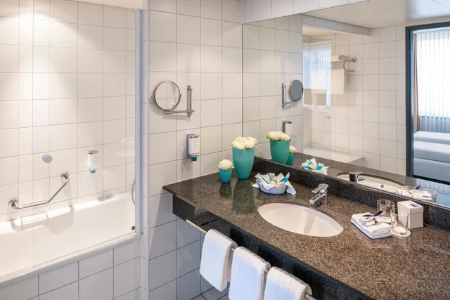 شقة، Essential By Dorint Basel City 3/5
