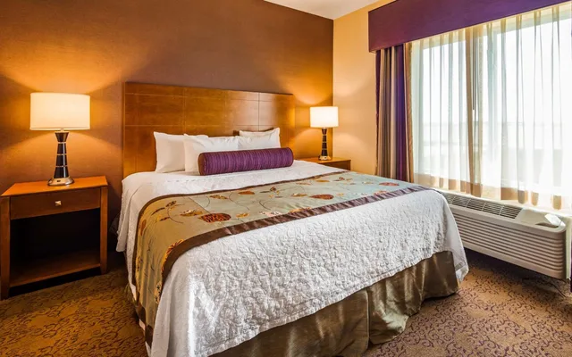 جناح بسرير كينج بغرفة نوم واحدة مع أريكة، Best Western Plus Carousel Inn & Suites 5/8