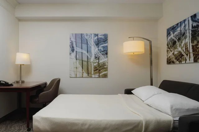 جناح بسرير كينج، SpringHill Suites by Marriott Knoxville at Turkey Creek 2/6