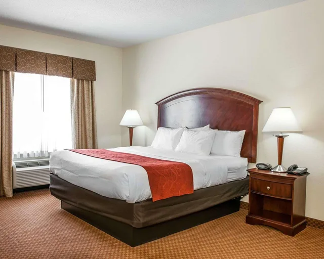 جناح بسرير كينج لذوي الإعاقة، Comfort Suites near Indianapolis Airport 3/3