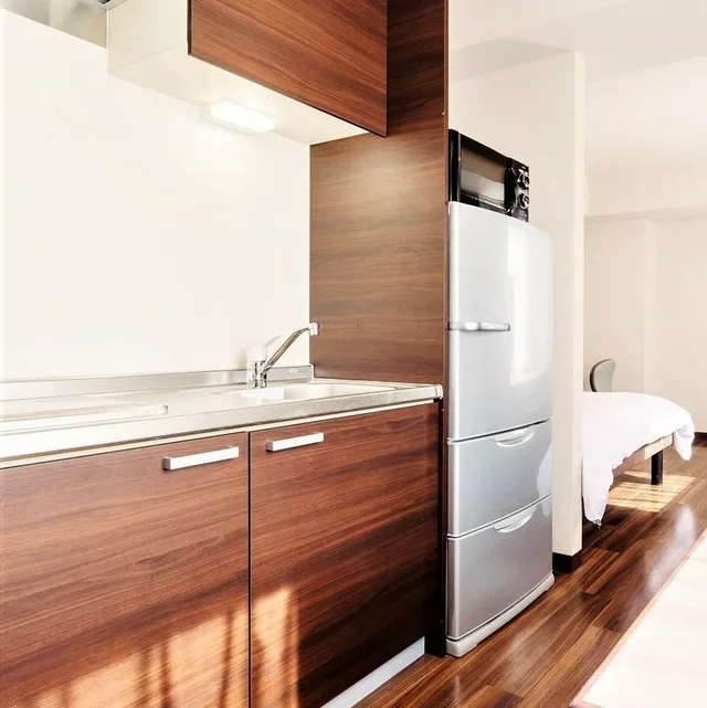 جناح تنفيذي بسرير مزدوج، Hotel New Yokosuka 1/1