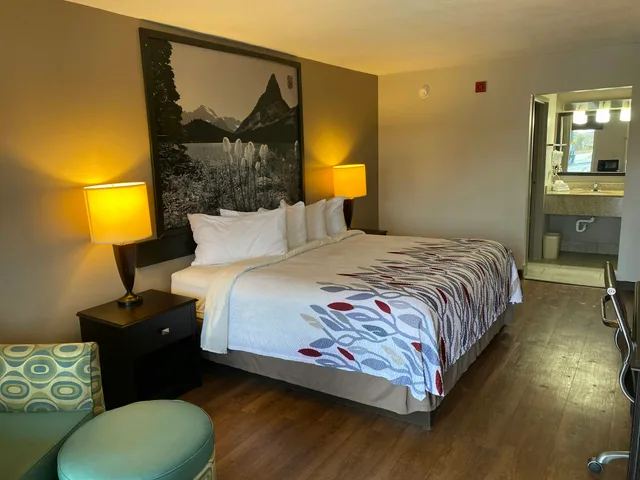 غرفة ديلوكس بسرير كينج لذوي الإعاقة، Red Roof Inn Savannah North I-95 – Port Wentworth 1/3