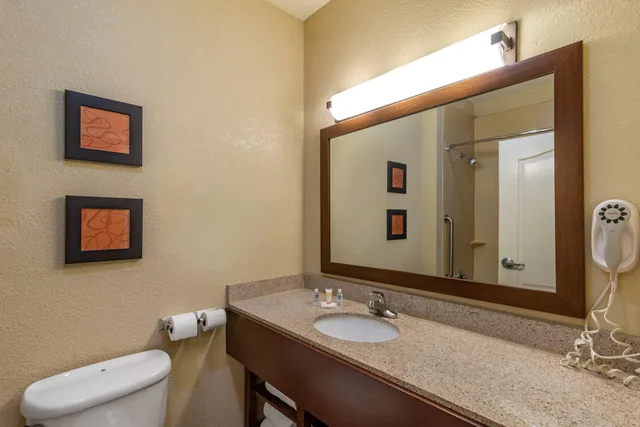 جناح بسرير كينج مع أريكة لذوي الإعاقة، Comfort Suites Montgomery East Monticello Dr 7/8
