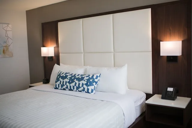 Lifestyle, Suite, Queen Bed, Sofa, Accessible، The Park Hotel London 3/10