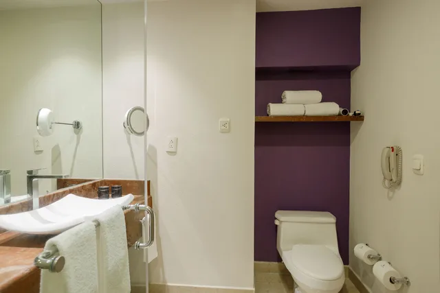 غرفة قياسية مفردة، Camino Real Pedregal 8/8