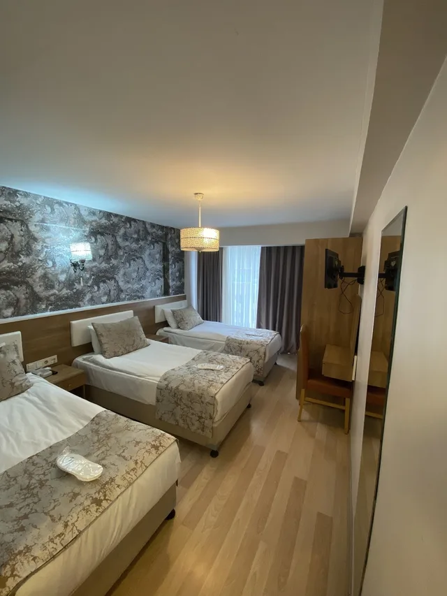 Room, Triple, 3 Beds, Polanin Hotel Istanbul 2/7