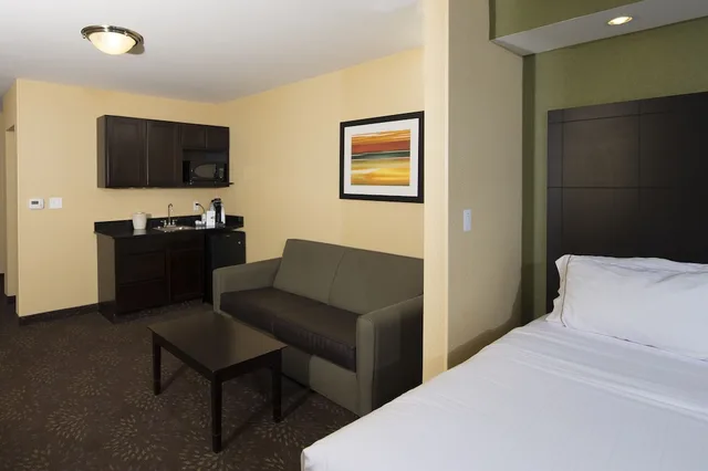 Suite, King Bed, Bathtub, Accessible, Holiday Inn Express Hotel And Suites Detroit North Troy 1/3