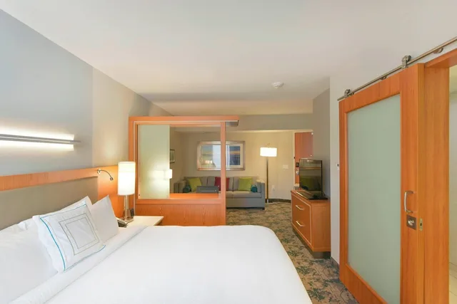 جناح بسرير كينج مع أريكة، Springhill Suites Wilmington Mayfaire 1/7