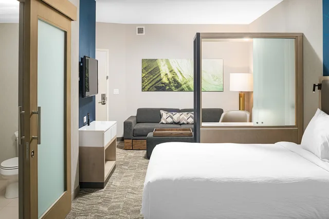 استوديو بسرير كينج، SpringHill Suites by Marriott Savannah Richmond Hill 1/4