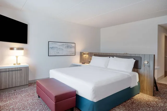 غرفة بسرير كينج بحوض استحمام لذوي الإعاقة، Hilton Garden Inn Clarksburg Bridgeport 1/2