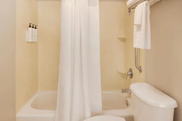 جناح بسرير كينج مع أريكة لذوي الإعاقة، Springhill Suites By Marriott Newark Liberty International 4/8