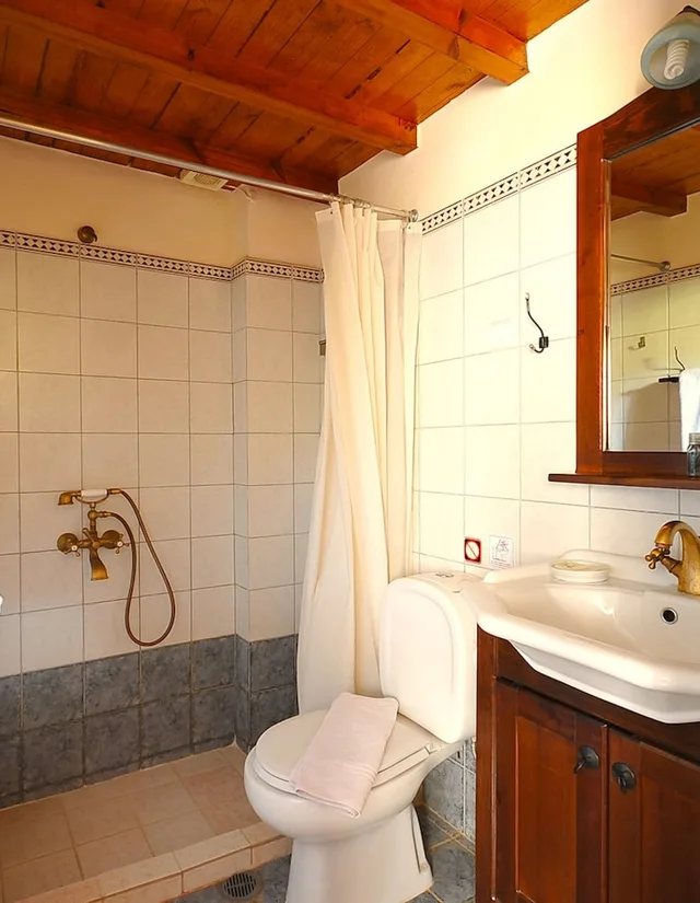 غرفة سوبيريور بسرير مزدوج، Elia Traditional Hotel & Spa 1/1
