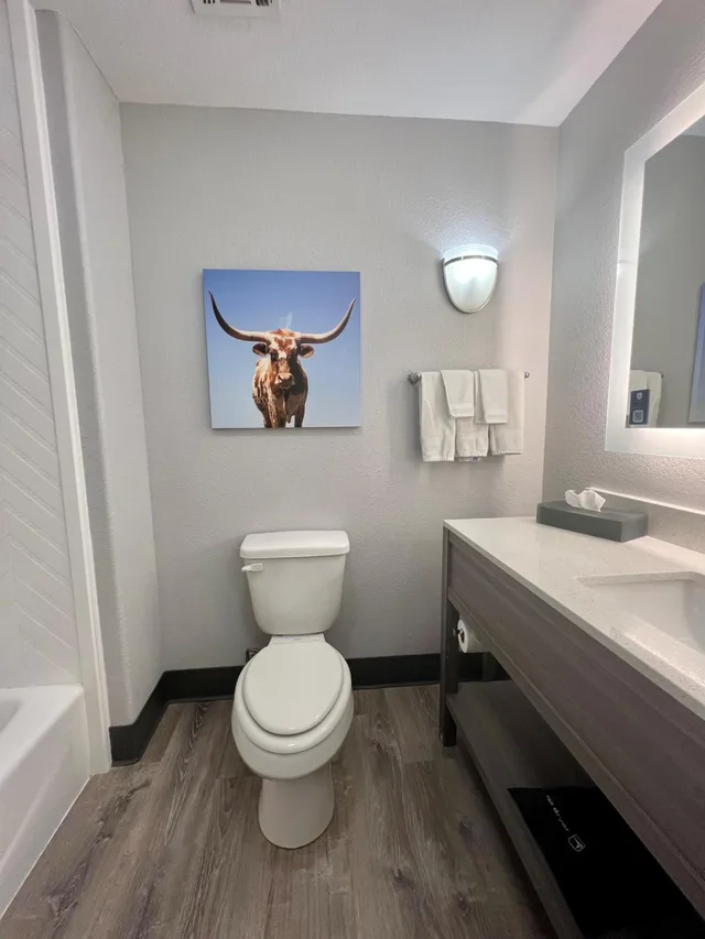 غرفة بسرير كينج وسرير كوين بحوض استحمام لذوي الإعاقة، La Quinta Inn & Suites by Wyndham Big Spring 3/5