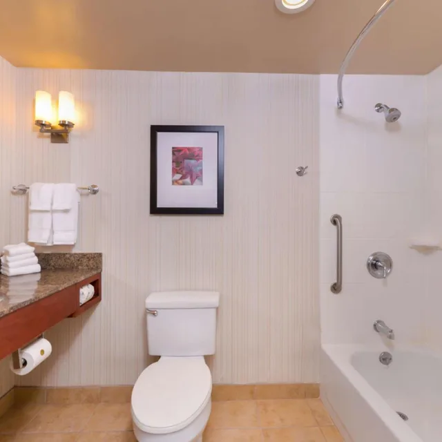 غرفة بسرير كينج بحوض استحمام لذوي الإعاقة، Hilton Garden Inn Baltimore/White Marsh 4/4