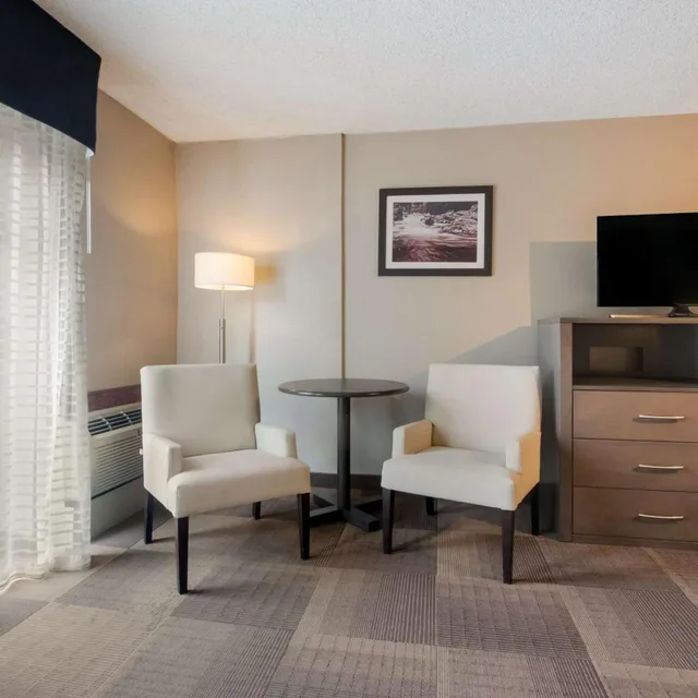 Room, King Bed, Sofa, Best Western St Catharines Hotel Conference Centre 4/7