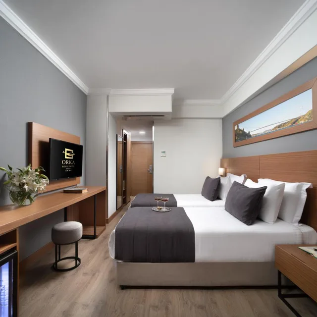 غرفة قياسية، Orka Royal Hotel 3/10