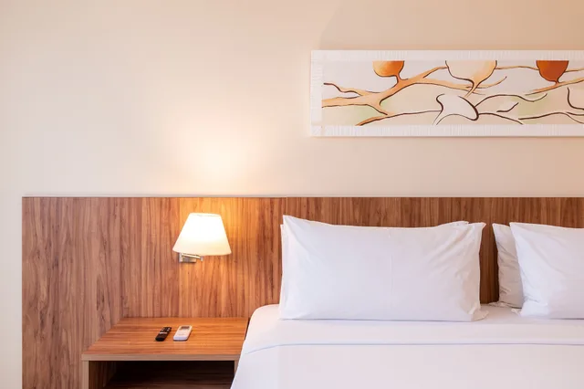 Premium, Single Bed, Holiday Inn Manaus 5/8