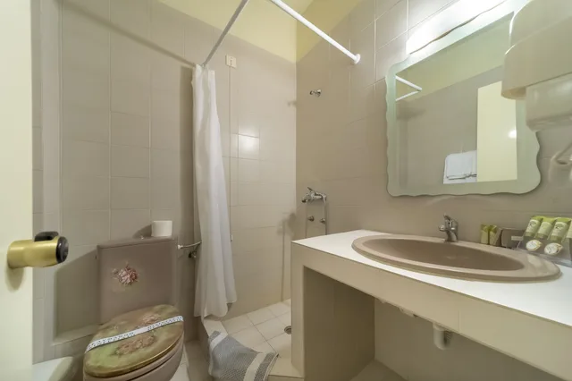 غرفة كلاسيكية ثلاثية بثلاثة أسرّة بإطلالة على الجبل، Hotel Agia Markella 5/5