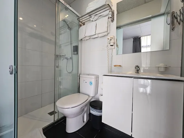Room, Triple, 1 Double and 1 Single Bed, Private Balcony, Bathtub، Hotel Palermo 6/6