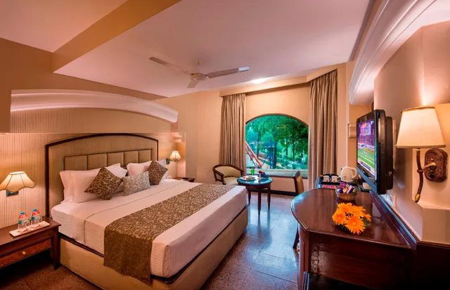 غرفة تنفيذية، Lords Inn Vadodara 1/1