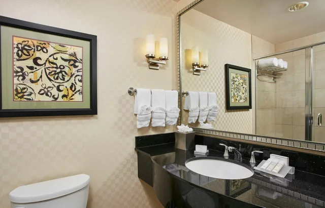 غرفة بسرير كينج، Hilton Garden Inn Rockville-Gaithersburg 3/3