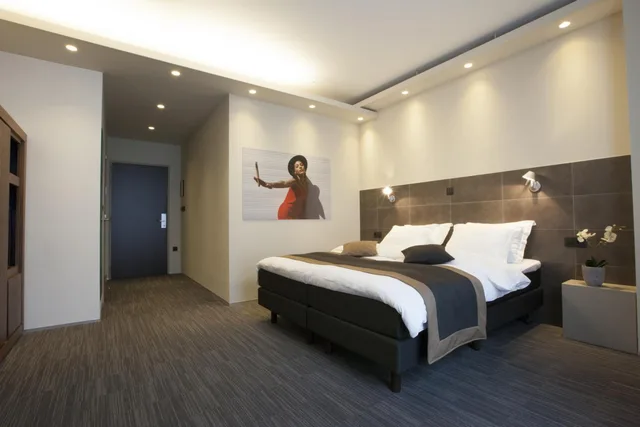 غرفة بسرير مزدوج، HOTEL MERCURE MECHELEN VE 1/5