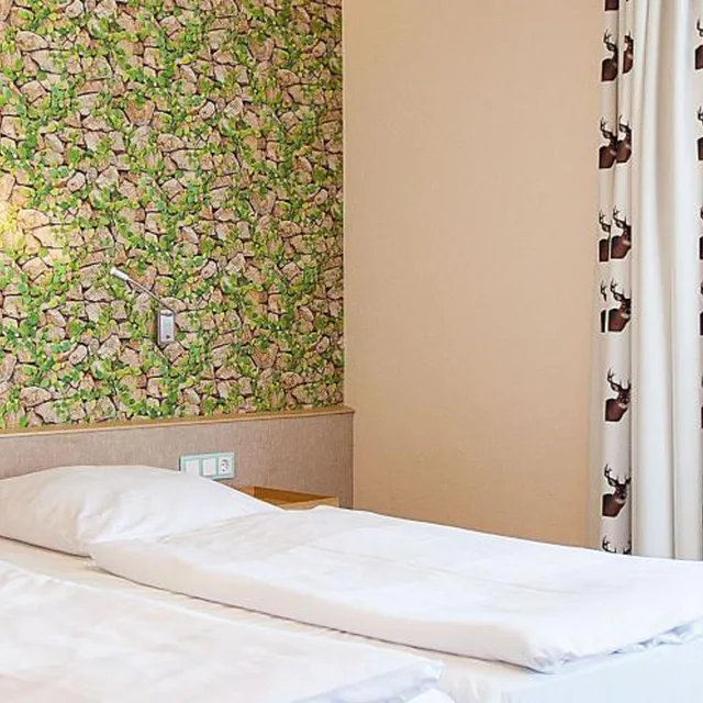 غرفة كومفورت، Hirsch Hotel 7/8
