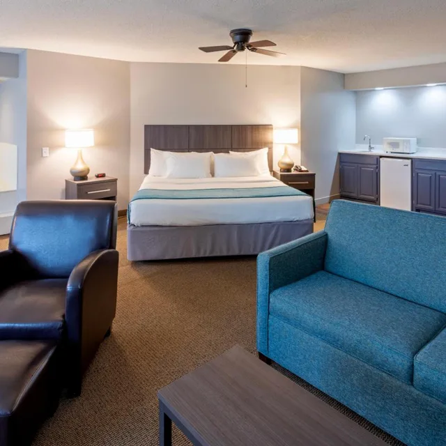جناح ديلوكس بسرير كينج، Paynesville Inn And Suites 1/6