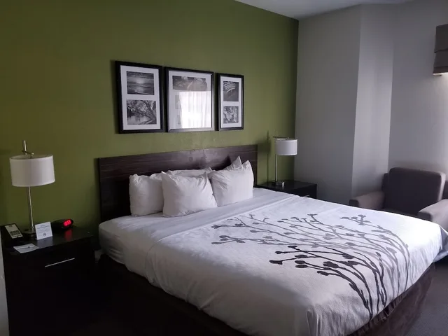 غرفة قياسية بسرير كينج، Sleep Inn Walterboro 1/2