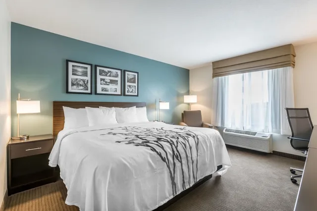 غرفة قياسية بسرير كينج، Sleep Inn & Suites West Des Moines near Jordan Creek 1/4