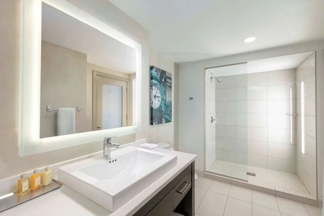 استوديو سوبيريور بسرير كينج لذوي الإعاقة، The Royal Sonesta Chicago Downtown 2/2