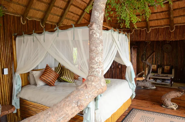 Honeymoon, Tree House, Luxury, King Bed، Pezulu Tree House Lodge 2/2