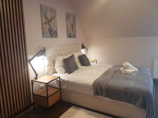 Superior, Suite, Queen and Twin Beds, Mountain View, Sofa, Poduszka Apartamenty Pod Lysica 1/4