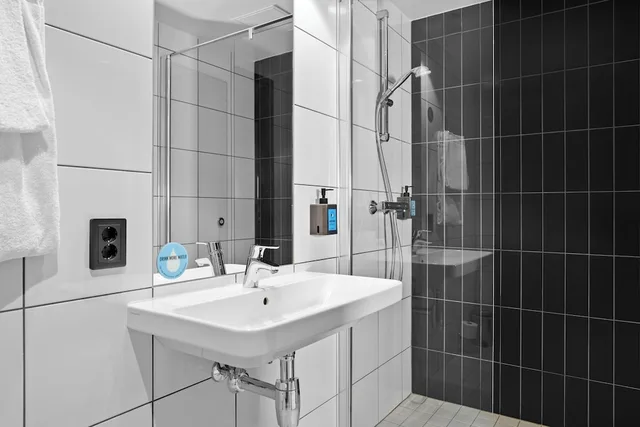 غرفة سوبيريور بسرير مزدوج مع أريكة، Comfort Hotel Xpress Central Station 2/2