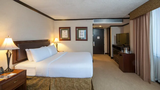 غرفة قياسية بسرير كينج، Delta Hotels by Marriott San Jose Aurola 2/6