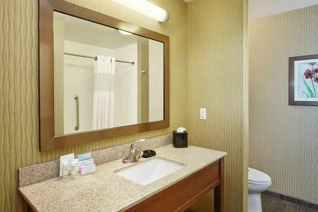 غرفة بسرير كينج مع أريكة، Hampton Inn and Suites Milwaukee Franklin 3/3
