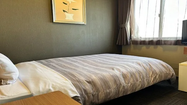 غرفة قياسية مفردة، Hotel Route-Inn Court Fujioka 1/1
