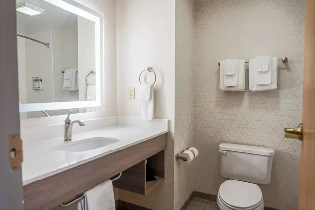 جناح بسرير كينج لذوي الإعاقة، Holiday Inn Express Hotel & Suites Vicksburg 1/1